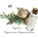 cypres_1783410890