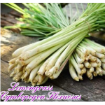 lemongrass