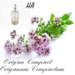 origan_compact_303918936