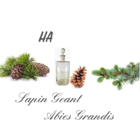 sapin_geant_84481268