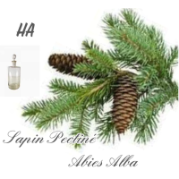 sapin_pectine_1611854433