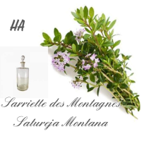 sarriette_des_montagnes_1399672091